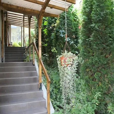 Appartement Kate Deluxe Velingrad